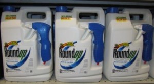 Roundup