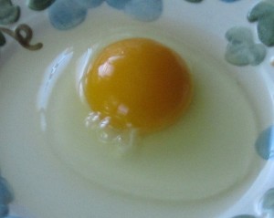 Raw Pastured Egg