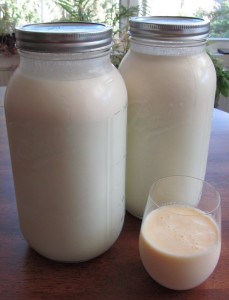 Jars and glass of raw milk
