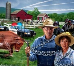 Amish farm raid