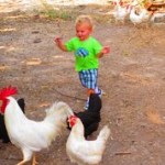 Edmond with chickens