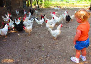 Johanna (orange shirt) and chickens 