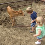 Luke and Johanna with calf
