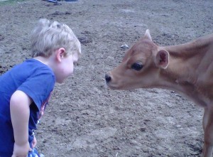 Luke with calf