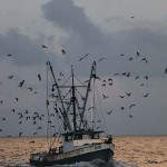 Shrimp boat