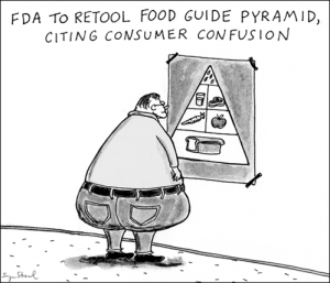 Food pyramid cartoon