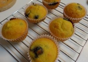 Blueberry muffins - grain-free