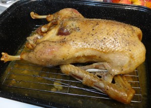 Roast Goose